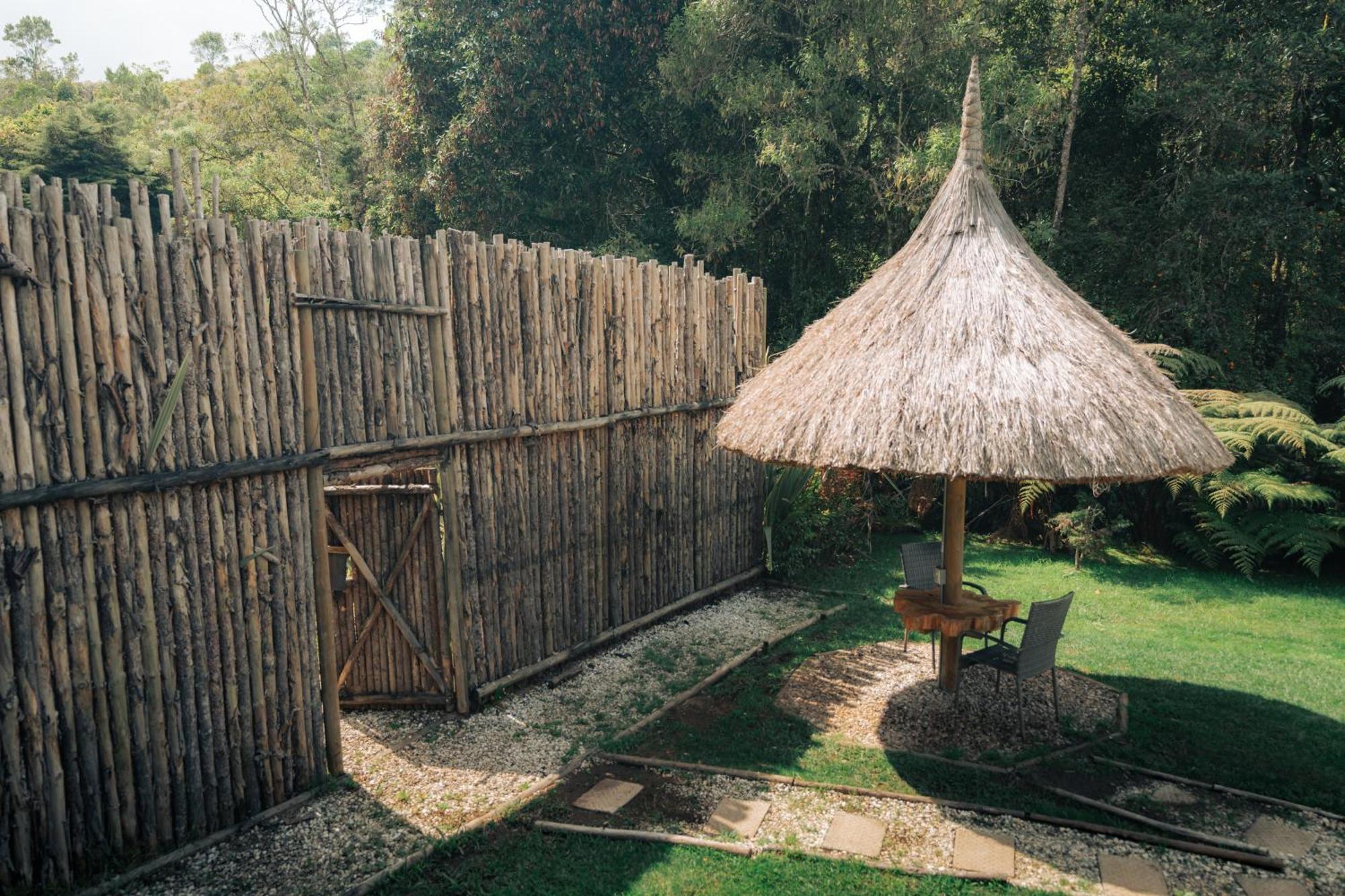 Hotel Bubblesky Glamping 15 Min From Medellin Rionegro Exterior foto